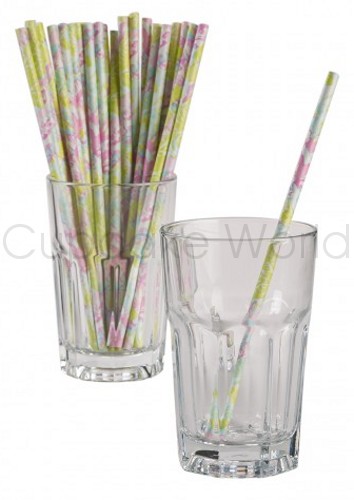 ISABEL FLORAL PINK GREEN ROBERT GORDON RETRO PAPER STRAWS 24PK